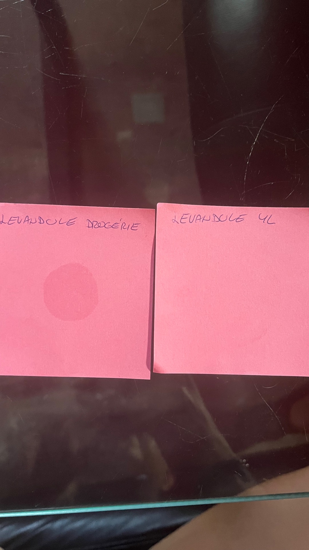 Můj test s levandulí